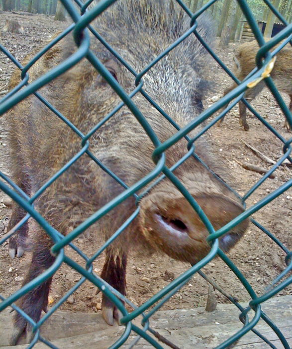 Hier hat jemand einen guten Riecher