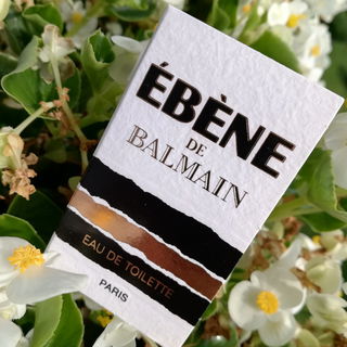 Wundervolle Rarität