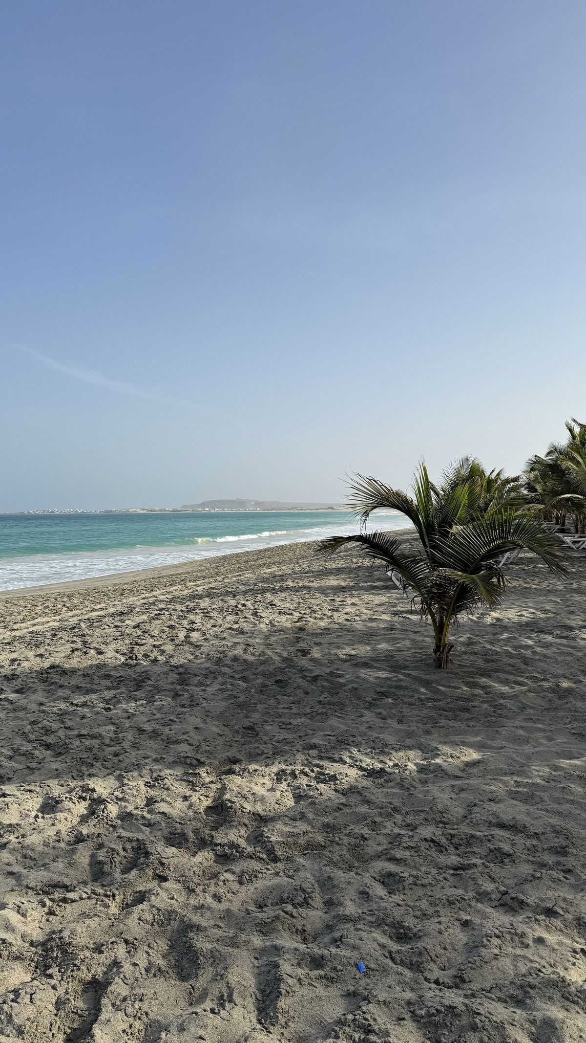 Kleines Paradies auf Boa Vista (Kapverden im April 2024)