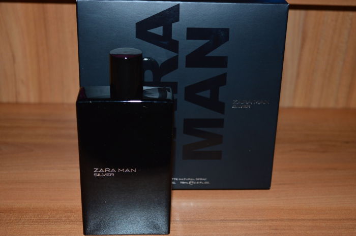 Zara Man Silver