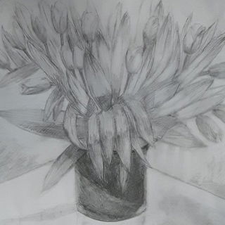 gezeichneter Tulpenstra...