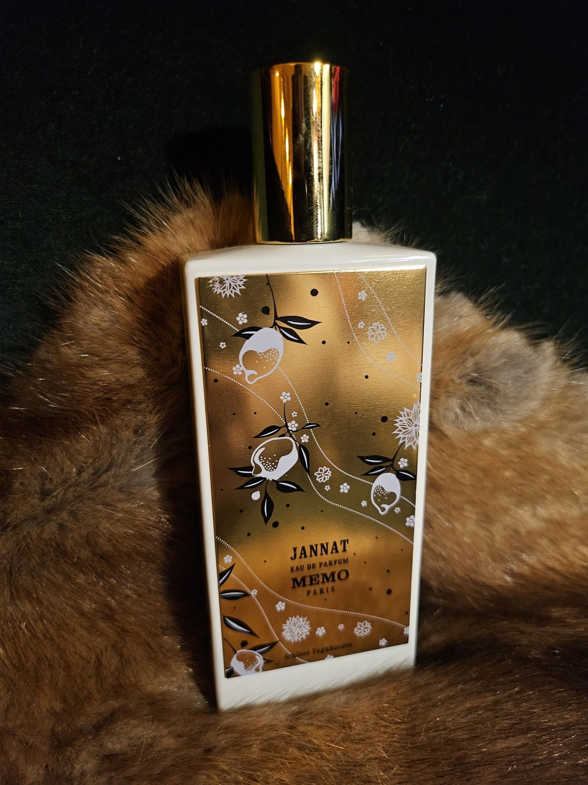 Memo Paris Jannat