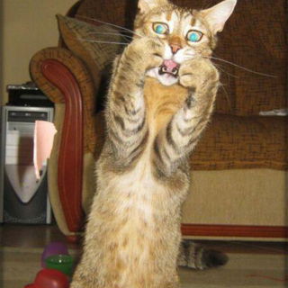 Aber da ist eine riesen...