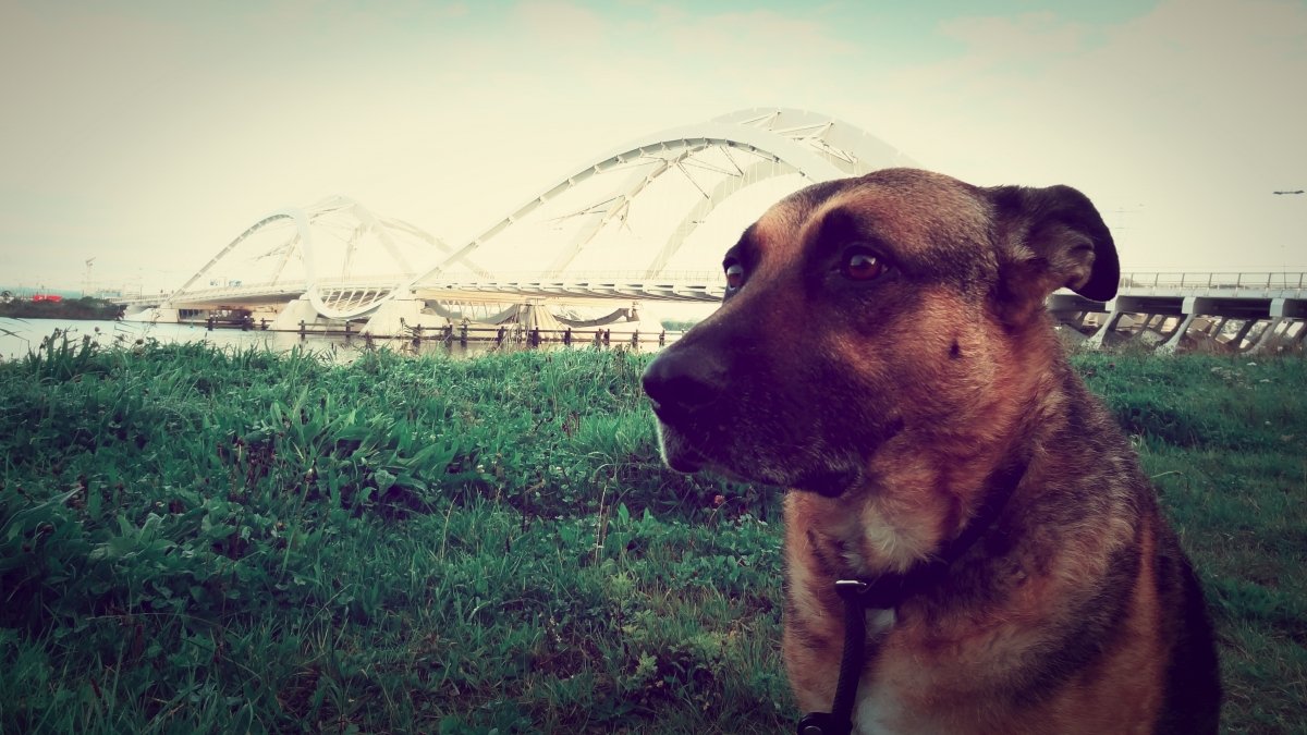 Thera & The Bridge