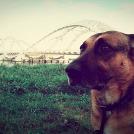 Thera & The Bridge