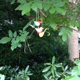Vogelbesuch