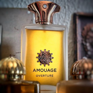Amouage Overture Man