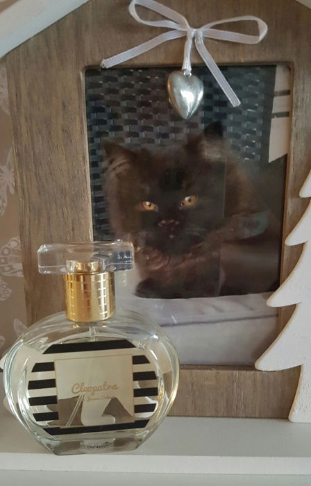 Cleopatra? The only one 4ever