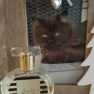 Cleopatra? The only one...