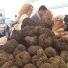 Truffle days in Istrien...