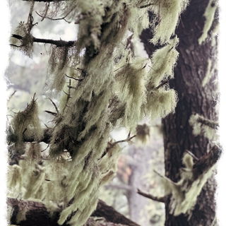 Wie das ausschaut, so d...