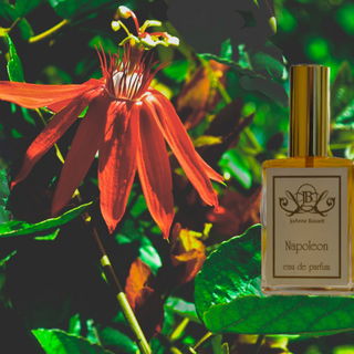 JoAnne Bassett Natural ...