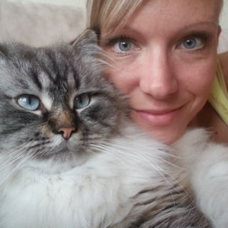 Liebe