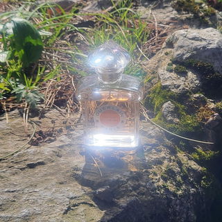 Lichtfänger
