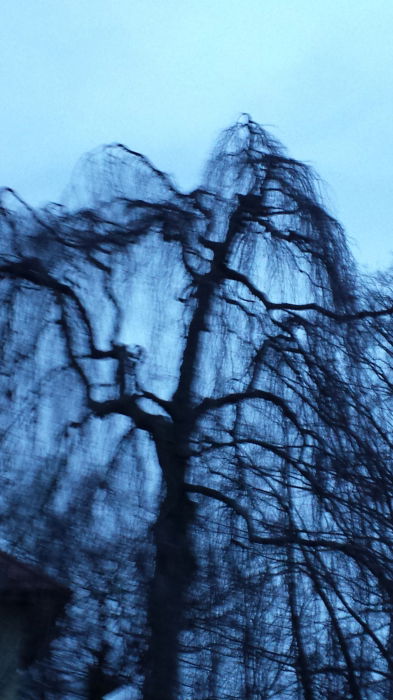 Es spukt und irgendwo ist ein Kobold ;-)