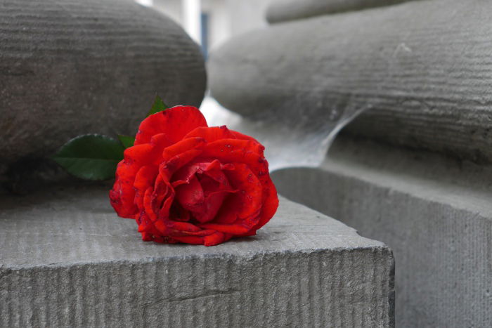 Das lag da so - wirklich! Einfach draufgedrückt. Unbearbeitet.