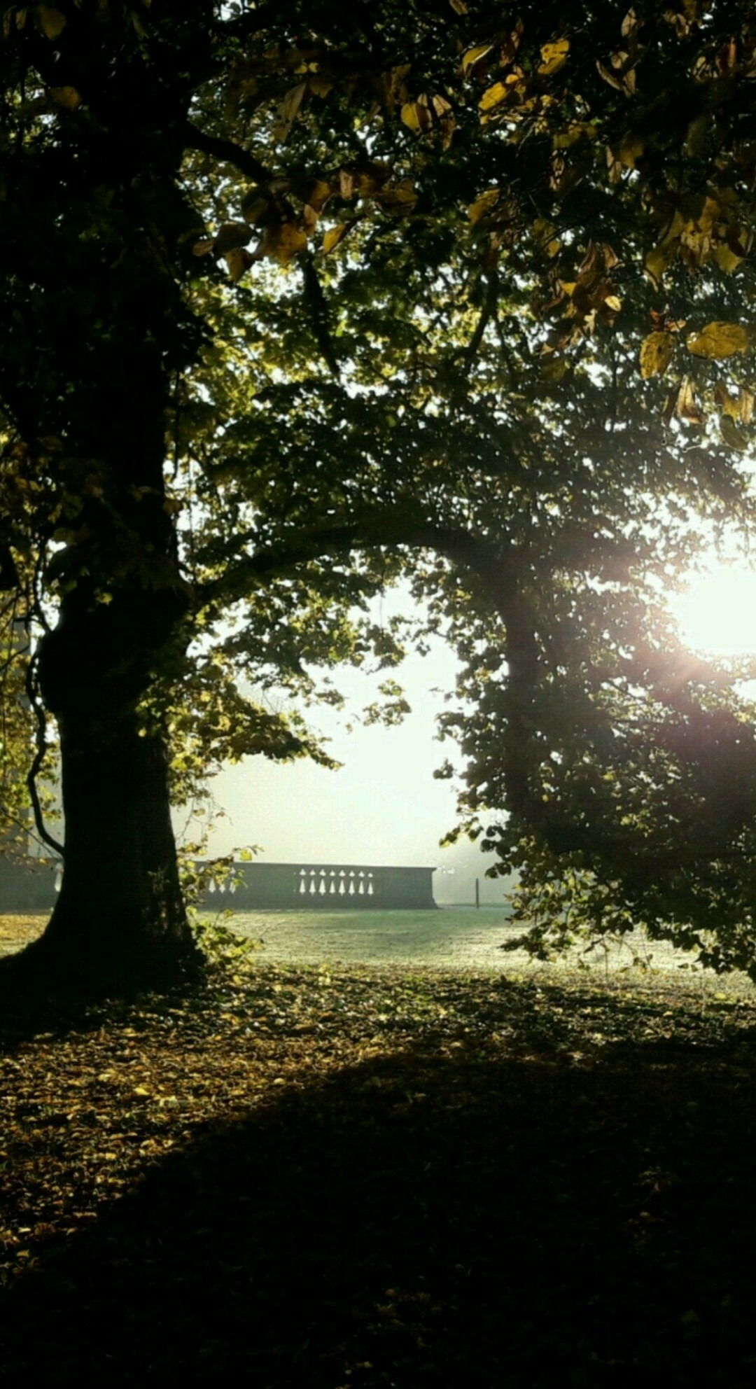 Bestes Foto, das ich je gemacht habe