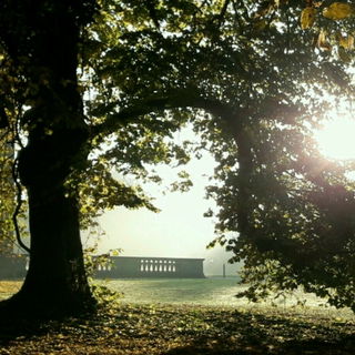 Bestes Foto, das ich je...