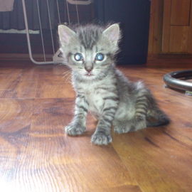 13.05.2012 Mucko