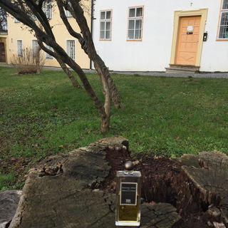 1. Auflage Bornéo1834...