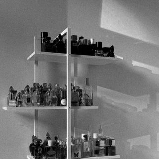 Collection 2025