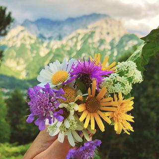 Karwendel im Hintergrun...