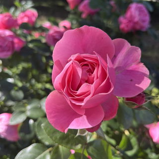 Ohne Filter… was für...