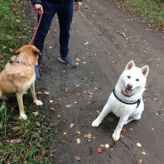 Herbst 2022 Akemi und E...