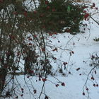 Blick aus dem Fenster...