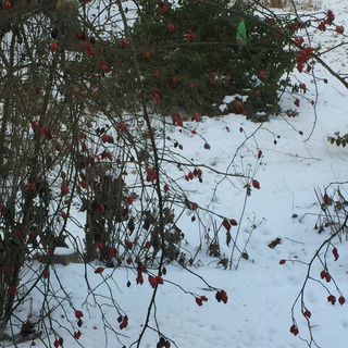 Blick aus dem Fenster...
