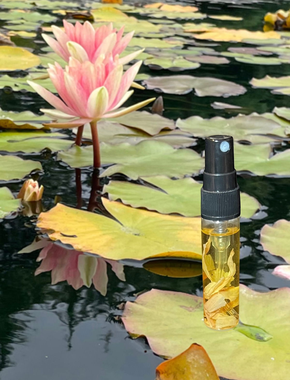 Nefertum's Flower / House of Orpheus / 16.11.2023 / wissen, was trägt…