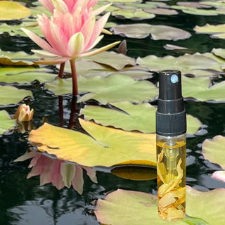 Nefertum's Flower / Hou...