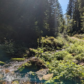 Wieso habe ich eigentli...