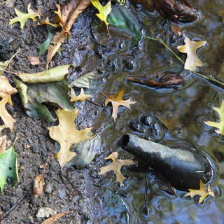 ...was tun, wenn die Fl...