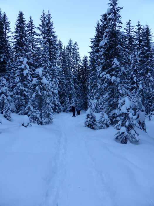 Mit Schneeschuhen im Märchenwald