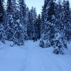 Mit Schneeschuhen im M...