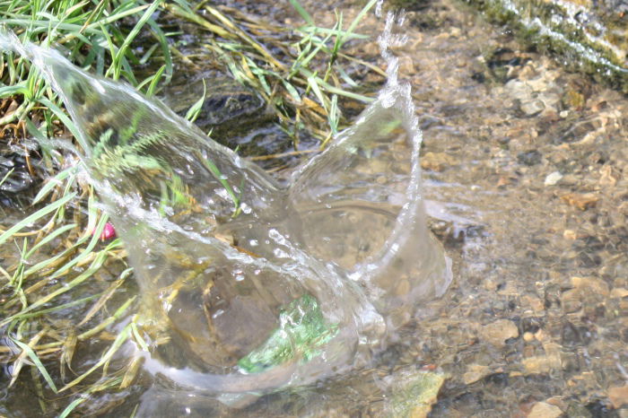 Hier splasht ein Go ins Aqua.