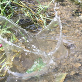 Hier splasht ein Go ins...