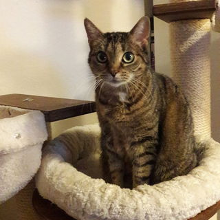 Die Grande Dame auf ihr...