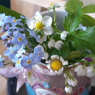 Meine Lieblinge im Gart...