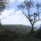 Tobago