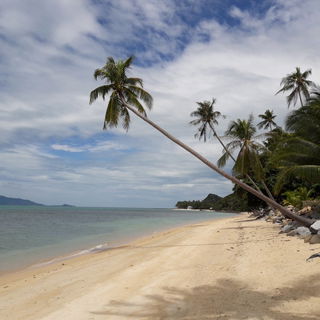 MaeNam Beach - Kho Samu...