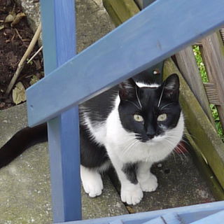 Filou - im wahrsten Sin...