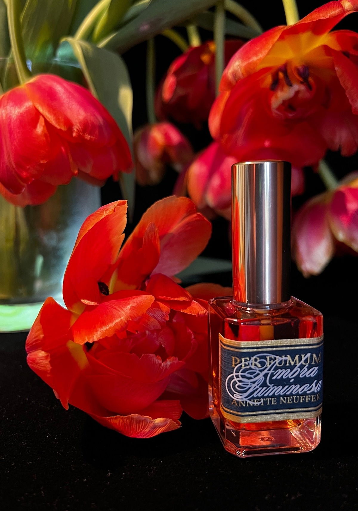 Per FUmum Ambra Luminosa / Annette Neuffer