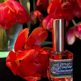 Per FUmum Ambra Luminos...