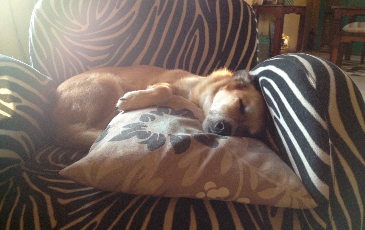 Zuckerschnute ❤️