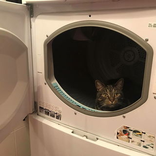 Oli´s neuer Versteckor...