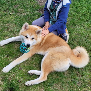 Fumi und mein Enkel Leo...