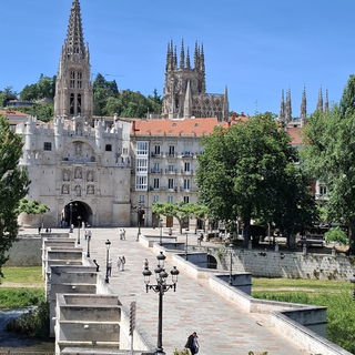 Burgos X