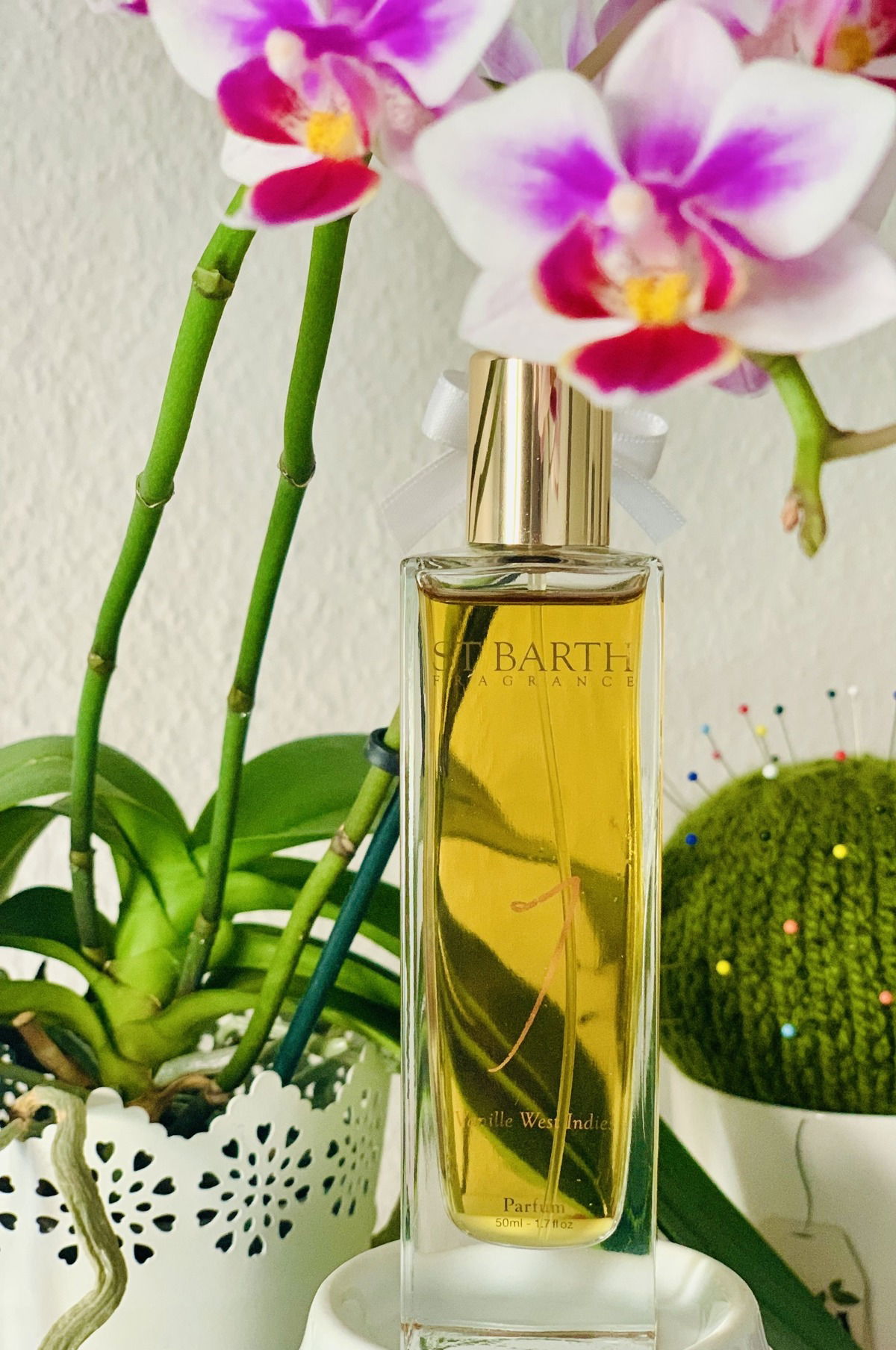 Vanille West Indies - ST BARTH